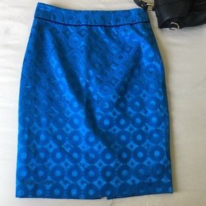 Anthropologie Midi Skirt